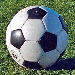 Live Euro 2024
